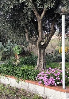 Boissano House | Villa Cristina