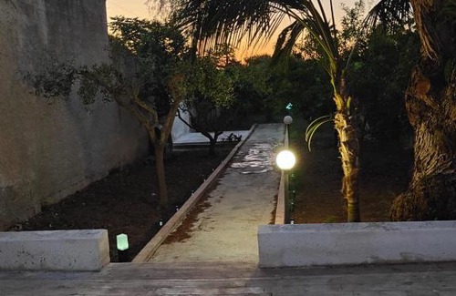 Marsala Villa | Villa Dammy