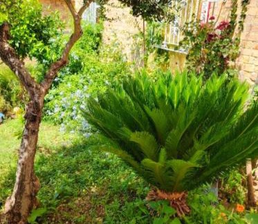 Spoltore Apartment | Villa GIANNA
