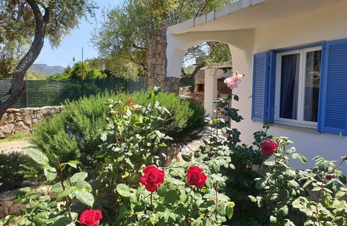 Olbia House | VILLA PLUMBAGO (Porto Rotondo/Cugnana)