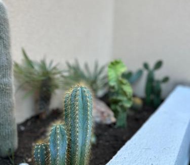 Los Geraeos Apartment | Ático De Diseño en Aguilas