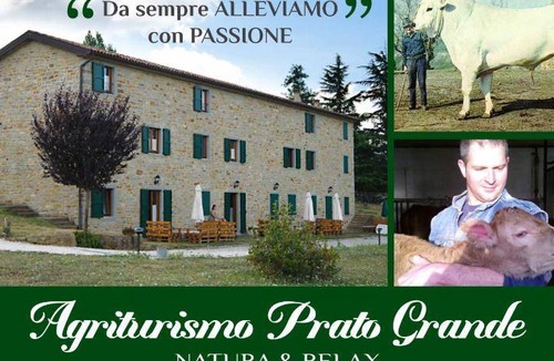 Loiano House | 112 m² Farmhouse ∙ 2 bedrooms ∙ 10 guests