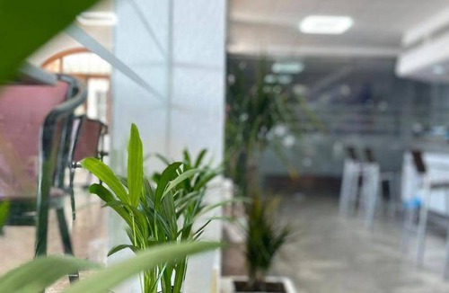 Monreal del Campo Bed & Breakfast | 12 m² Bed and breakfast ∙ 3 guests