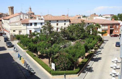Carinena Bed & Breakfast | 14 m² Bed and breakfast ∙ 2 guests