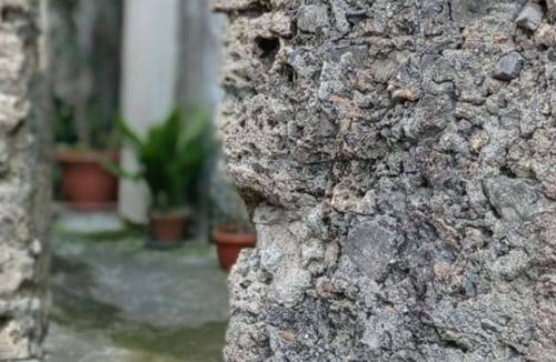 Orsomarso Bed & Breakfast | 17 m² Bed and breakfast ∙ 4 guests