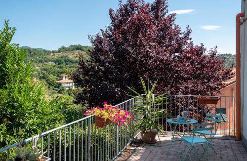 La Foce Bed & Breakfast | 20 m² Bed and breakfast ∙ 2 guests
