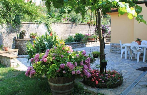 Mormanno Bed & Breakfast | 20 m² Bed and breakfast ∙ 3 guests