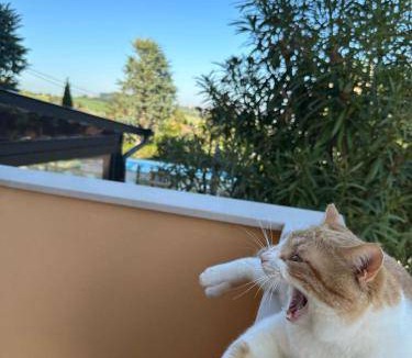 Villa Musone Bed & Breakfast | 24 m² Bed and breakfast ∙ 4 guests
