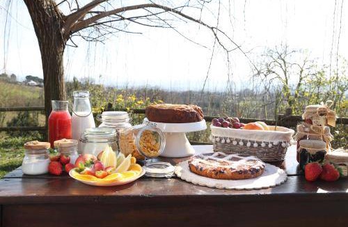 Faicchio Bed & Breakfast | 25 m² Bed and breakfast ∙ 4 guests