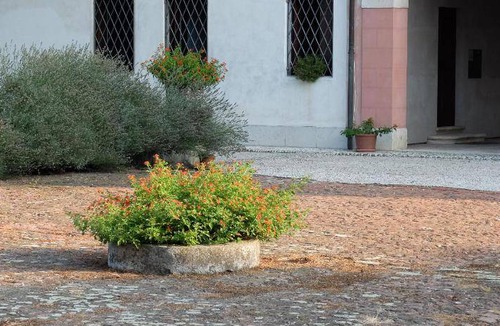 Monticello Conte Otto Bed & Breakfast | 28 m² Bed and breakfast ∙ 3 guests