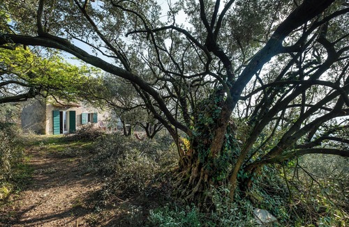 Negrar House | 3 Bedroom Private vacation home in negrar di valpolicella