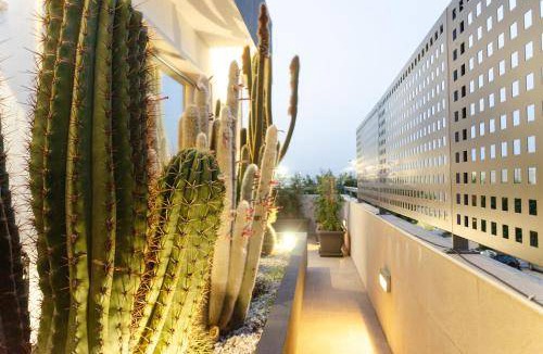 Adelfia Apartment | 35 m² Serviced apartment ∙ 2 guests