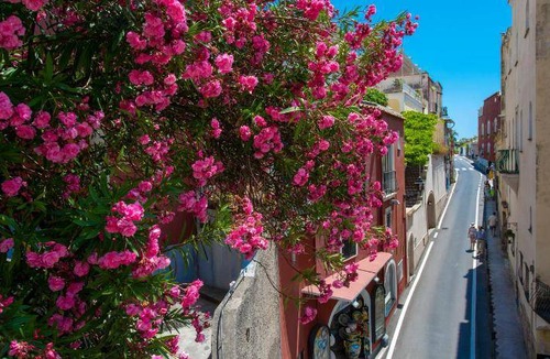 Positano City Centre Bed & Breakfast | 40 m² Bed and breakfast ∙ 6 guests
