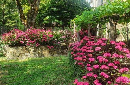 Ripoli Villa | 500 m² Villa ∙ 6 bedrooms ∙ 12 guests