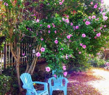 Marano Principato Bed & Breakfast | 55 m² Bed and breakfast ∙ 2 bedrooms ∙ 5 guests