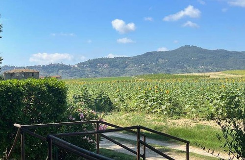 Castiglione del Lago House | 60 m² House ∙ 1 bedroom ∙ 5 guests