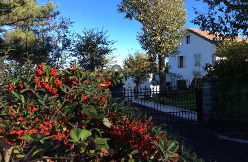 Pianoro Bed & Breakfast | 7 Olmi b&b Bologna