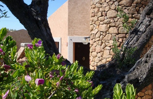 Porto San Paolo Apartment | 70 m² Apartment ∙ 2 bedrooms ∙ 7 guests