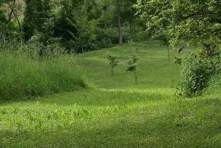 La Vall de Bianya Apartment | 75 m² Apartment ∙ 2 bedrooms ∙ 5 guests