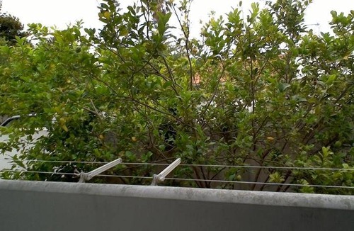Torre Specchia Ruggeri House | 80 m² House ∙ 3 bedrooms ∙ 7 guests