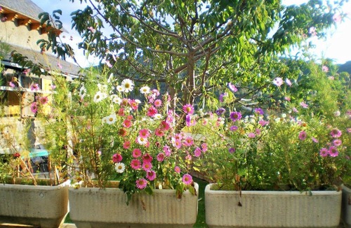 Castiello de Jaca House | 86 m² House ∙ 3 bedrooms ∙ 5 guests