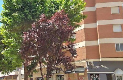 Cuenca Resort | 90 m² Private room ∙ 1 bedroom ∙ 1 guest