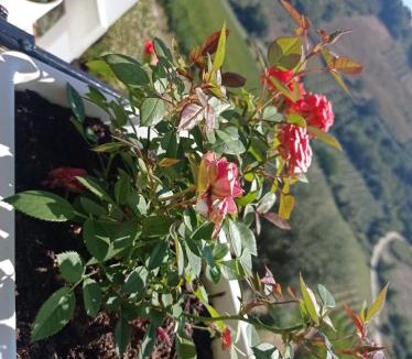 Lapedona House | Acquarello