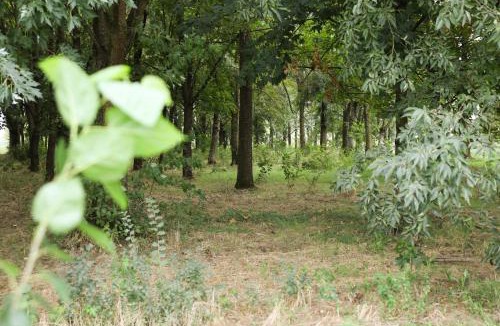 San Benedetto Po House | Agriturismo Casari