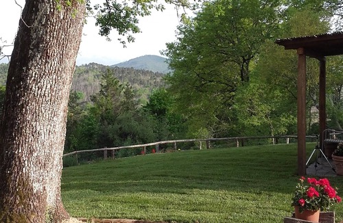 Monticiano Cottage | agriturismo la roggiola