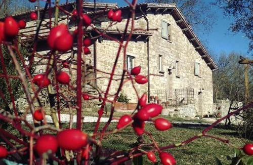 Monteluiano House | Agriturismo Montesalce