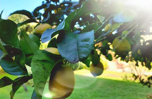 San Felice Circeo House | Agriturismo Podere Bedin