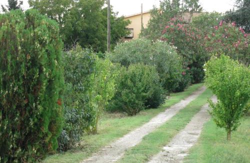 Viterbo Apartment | AL MANDORLO Casa Vacanze
