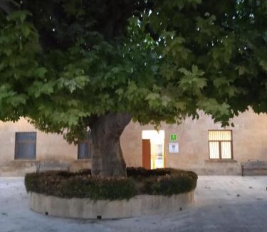 Maella Hostel | Albergue de Maella
