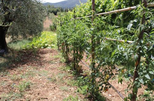 Avigliano Umbrio House | Alle Preci Country house
