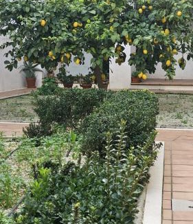 Santiago Apartment | Apartamento Menina San Pedro