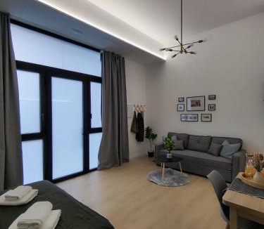Algiros Apartment | Apartamento Río Turia Pingüino