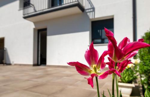 Iturmendi Apartment | Apartamentos Herri Ondo REFUGIO CLIMATICO