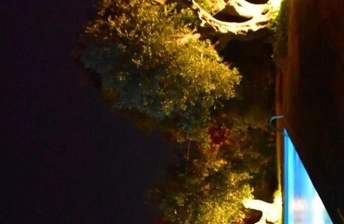 Monteroni di Lecce Villa | Apartmant placed in the green with swimming-pool