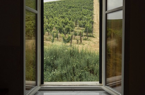 Strevi Apartment | Apartment 'Appartamento - Azienda Oddone Prati' with Private Pool, Shared Garden and Wi-Fi