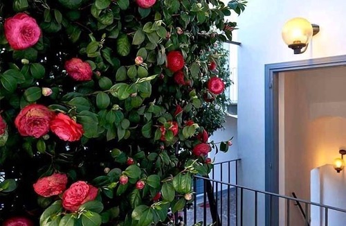 Borgo Ticino Apartment | Apartment-Private Bathroom-Garden view-Rossini
