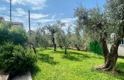 Castelnuovo Magra Apartment | Appartamento Cá Medé