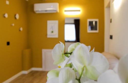 Belluno House | Appartamento immerso nella natura con parcheggio - Narciso