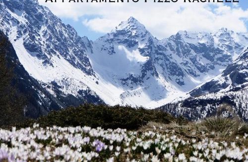 Chiesa in Valmalenco Apartment | Appartamento Pizzo Rachele