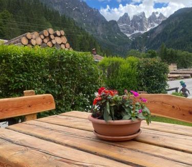 Pie Falcade Apartment | Appartamento Madama
