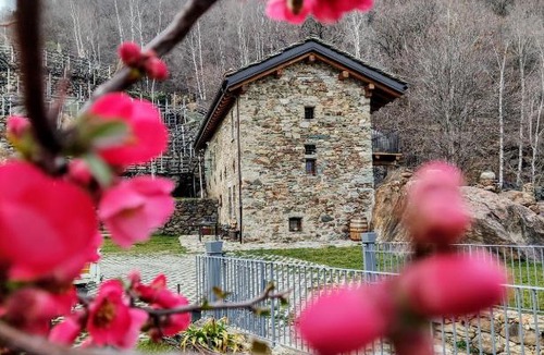Settimo Vittone Bed & Breakfast | B&B Al Vecchio Torchio