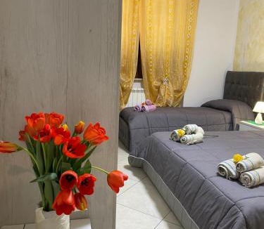 Bojano Bed & Breakfast | B&B Bovianum
