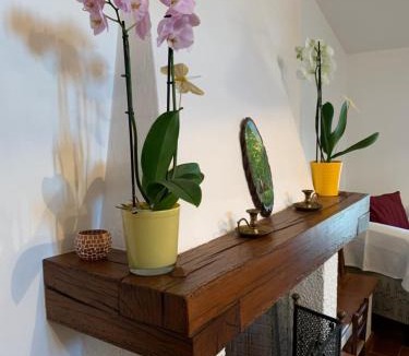 Sasso Marconi Apartment | B&B Codivilla