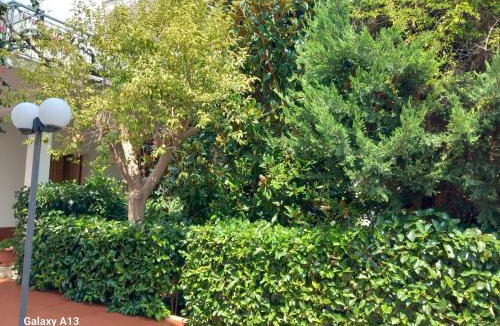 Specchiolla Bed & Breakfast | B & B La Magnolia