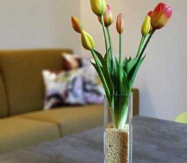 Castelfranco Emilia Apartment | B&B Luxury - Agnini 2