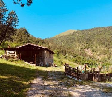 Gubbio Bed & Breakfast | B&B Paradiso